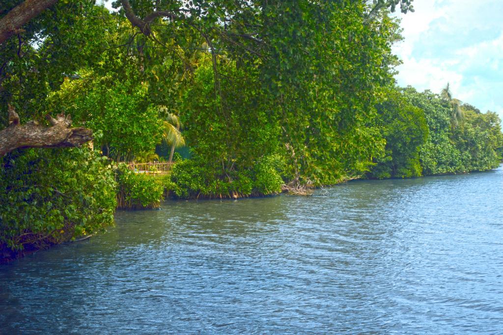 Lumbini Lagoon Koggala Værelse billede